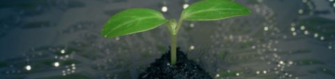 blog-banner-tech-VS-climate-changes