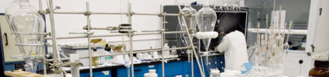 IMAX case study